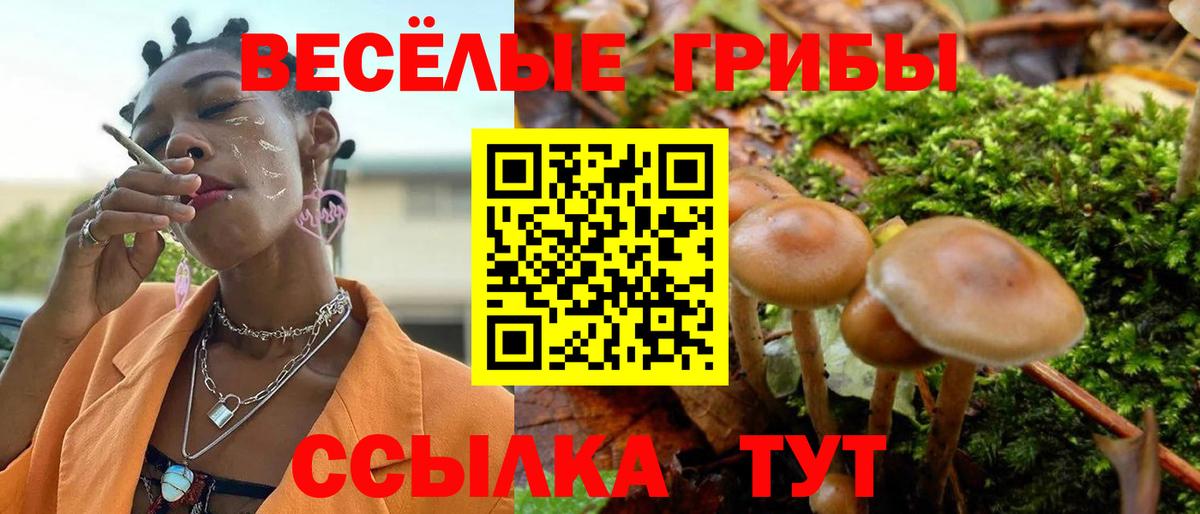 Белорецк  Галлюциногенные грибы Psilocybine cubensis  Вход с VPN 